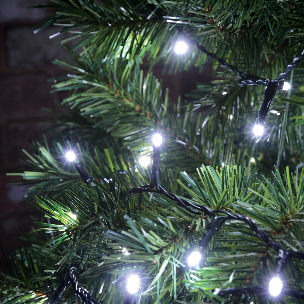 Lyyt Multi-Sequence LED Indoor/Sheltered Outdoor String Lights with 24-Hour Auto-Timer