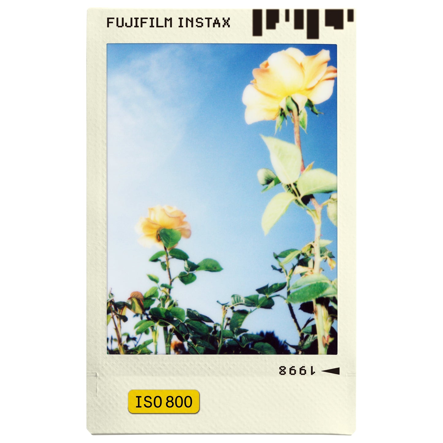 Fujifilm Instax Mini Instant Photo Film - Photo Slide