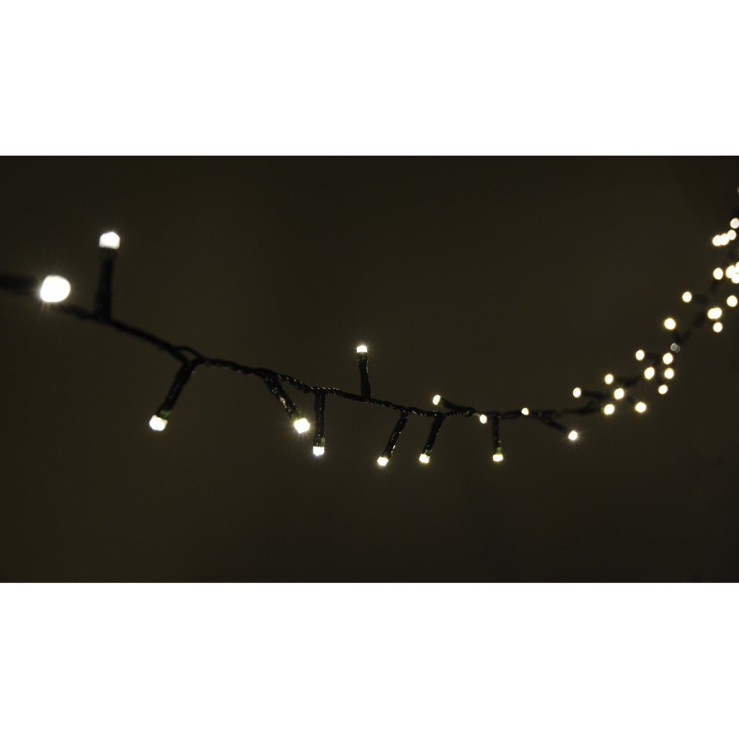 Lyyt Multi-Sequence LED Indoor/Sheltered Outdoor String Lights with 24-Hour Auto-Timer