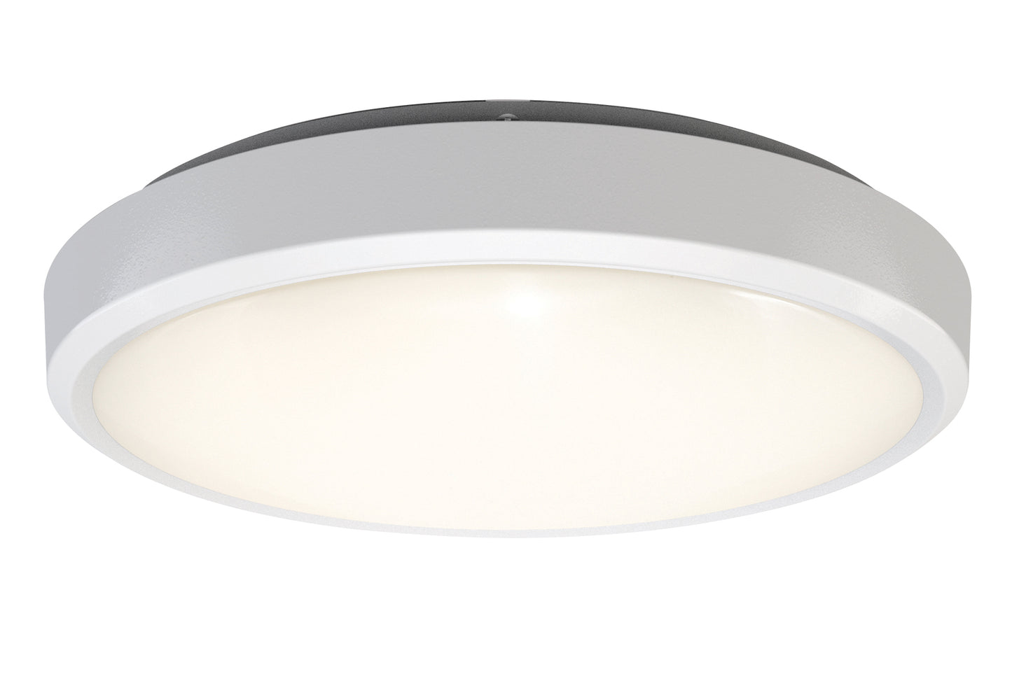 4lite WiZ Connected IP54 Smart LED Wall & Ceiling Light - maplin.co.uk