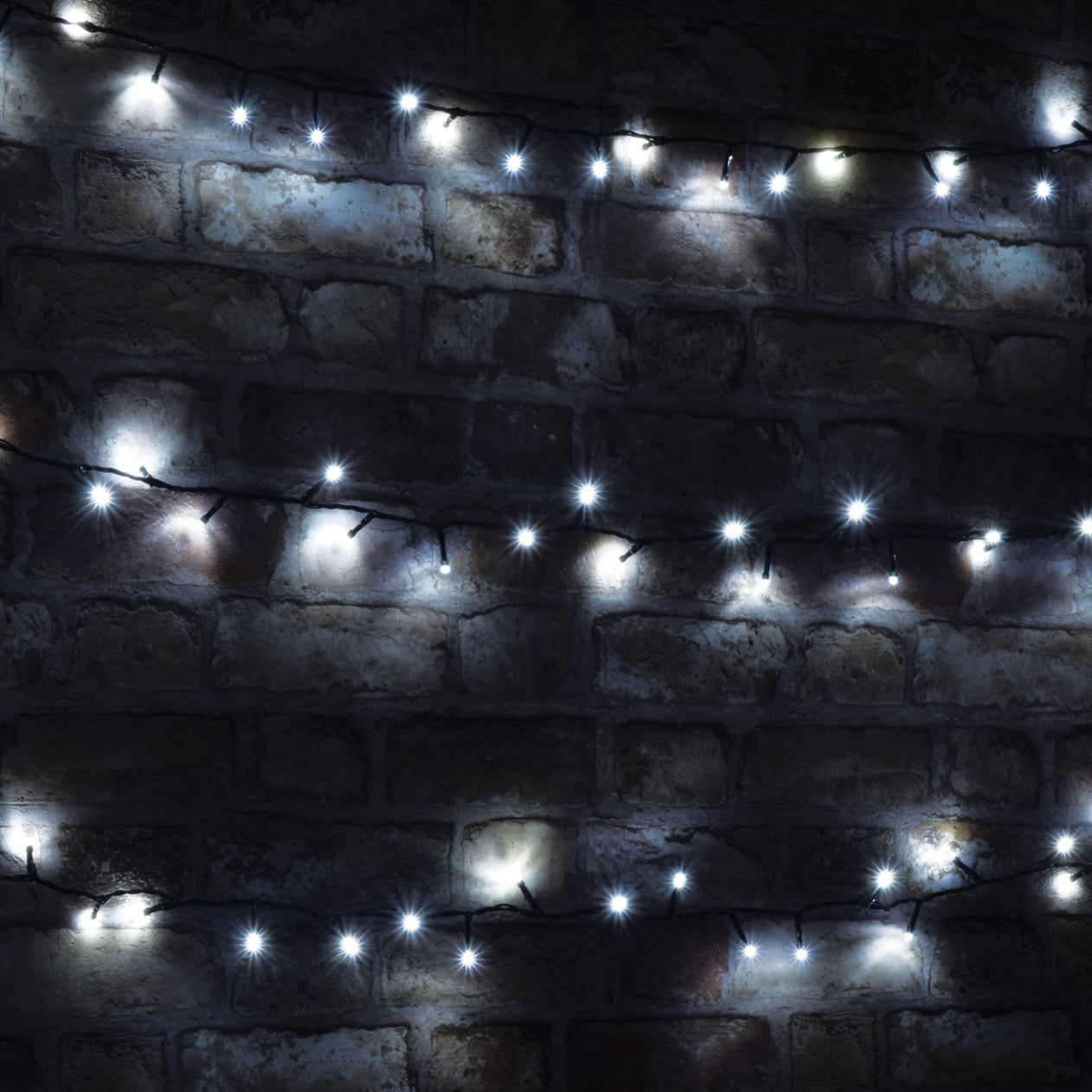 Lyyt Multi-Sequence LED Indoor/Sheltered Outdoor String Lights with 24-Hour Auto-Timer Cool White