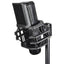 Citronic CM25 Studio Condenser Microphone