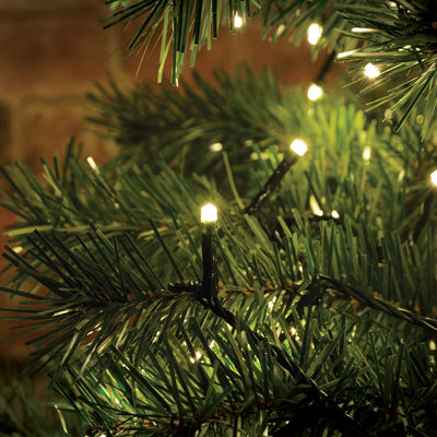 Lyyt Multi-Sequence LED Indoor/Sheltered Outdoor String Lights with 24-Hour Auto-Timer