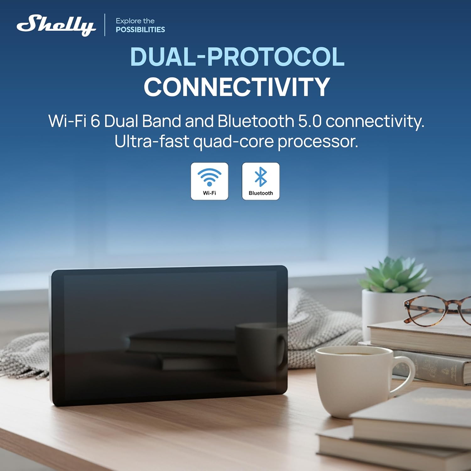 Shelly Wall Display X2i