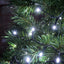 Lyyt Multi-Sequence LED Indoor/Sheltered Outdoor String Lights with 24-Hour Auto-Timer