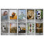 Fujifilm Instax Mini Stone Grey Deco Photo Film