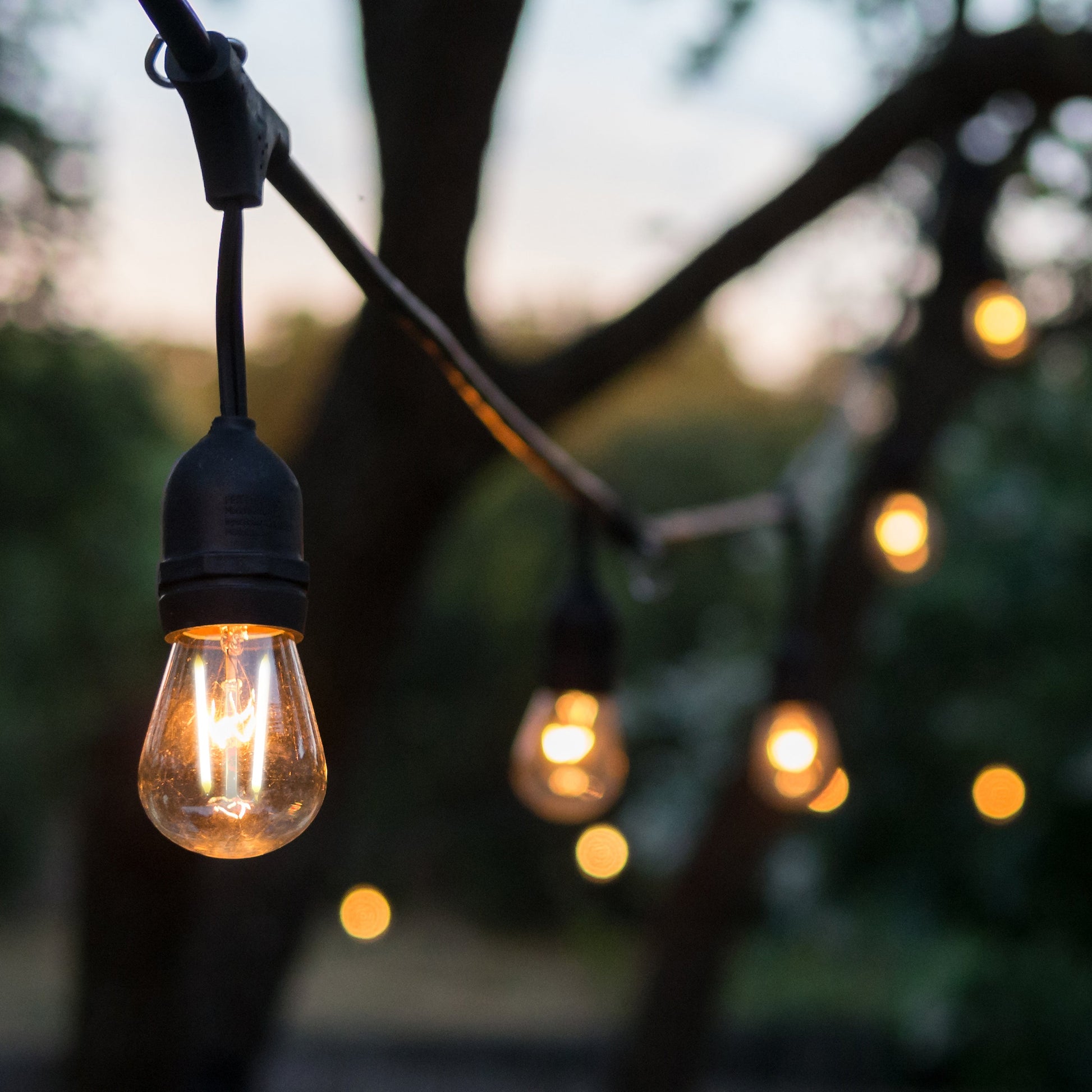 4lite Festoon Outdoor String Light E27 Screw Lamp Holders (Bulbs Not Included) - maplin.co.uk
