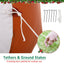 HOMCOM 6ft Christmas Inflatable LED Gingerbread Man with Santa Hat - maplin.co.uk