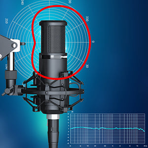ProSound XLR Professional Vocal Studio Cardioid Microphone with Boom Arm & Pop Filter - maplin.co.uk