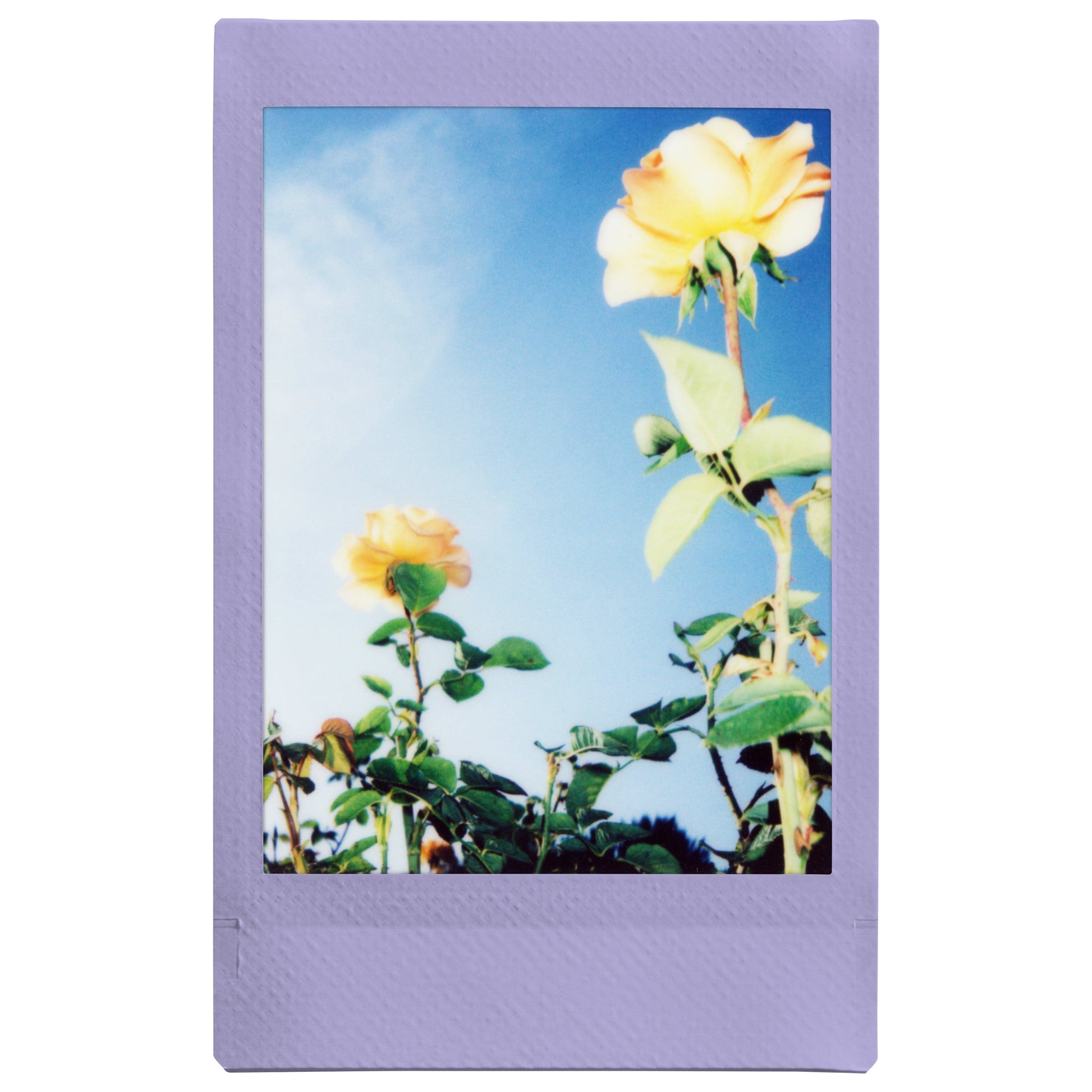 Fujifilm Instax Mini Soft Lavender Photo Film - maplin.co.uk