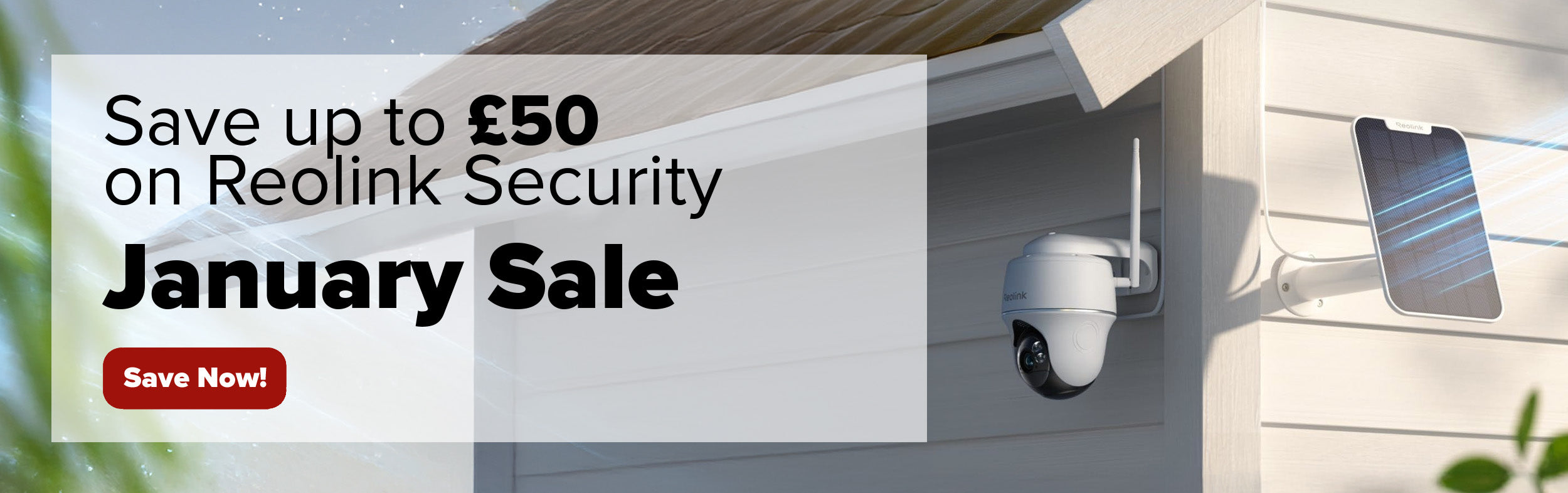 NY26-WIDE-Reolink.jpg__PID:4603c865-2f93-4458-a6d3-68c292ff19ee