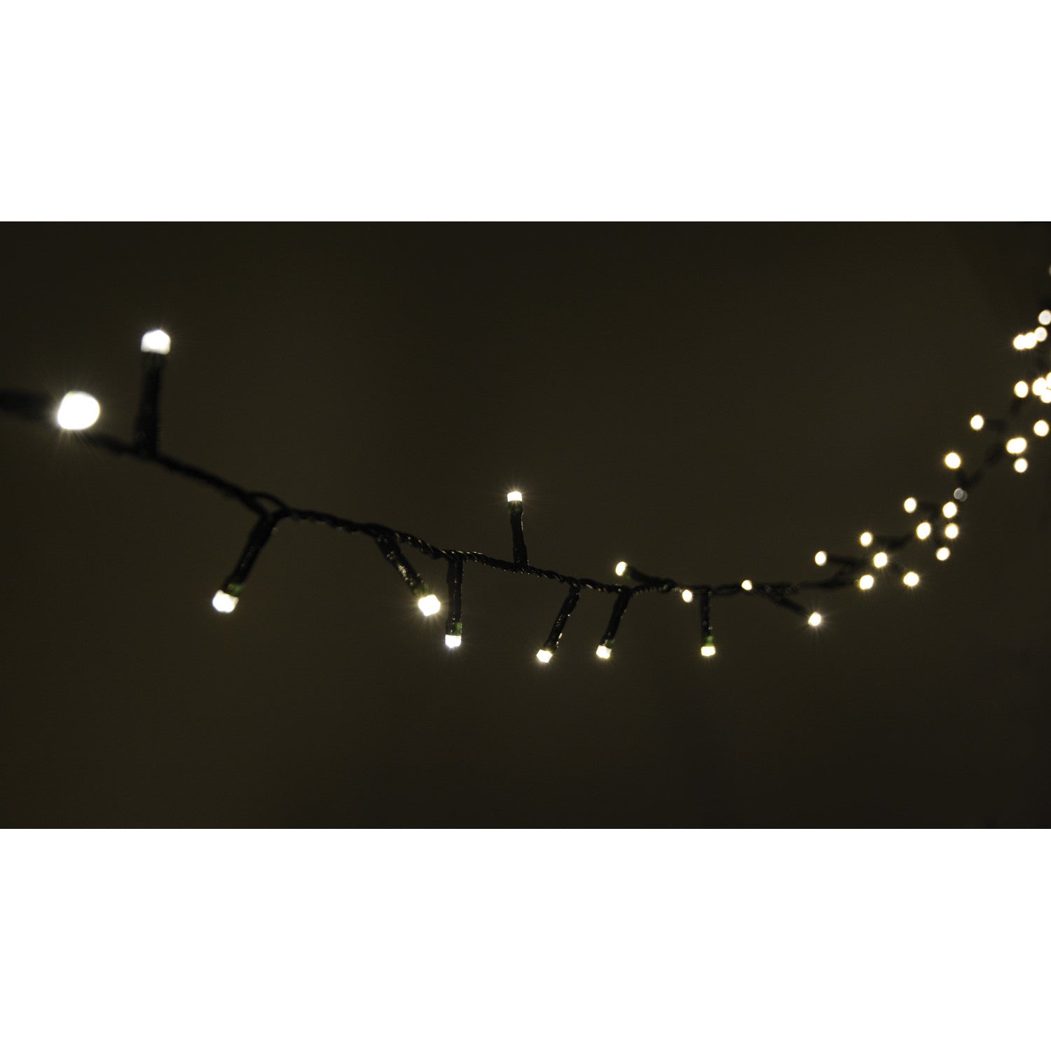 Lyyt Multi-Sequence LED Indoor/Sheltered Outdoor String Lights with 24-Hour Auto-Timer