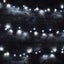 Lyyt Multi-Sequence LED Indoor/Sheltered Outdoor String Lights with 24-Hour Auto-Timer Cool White