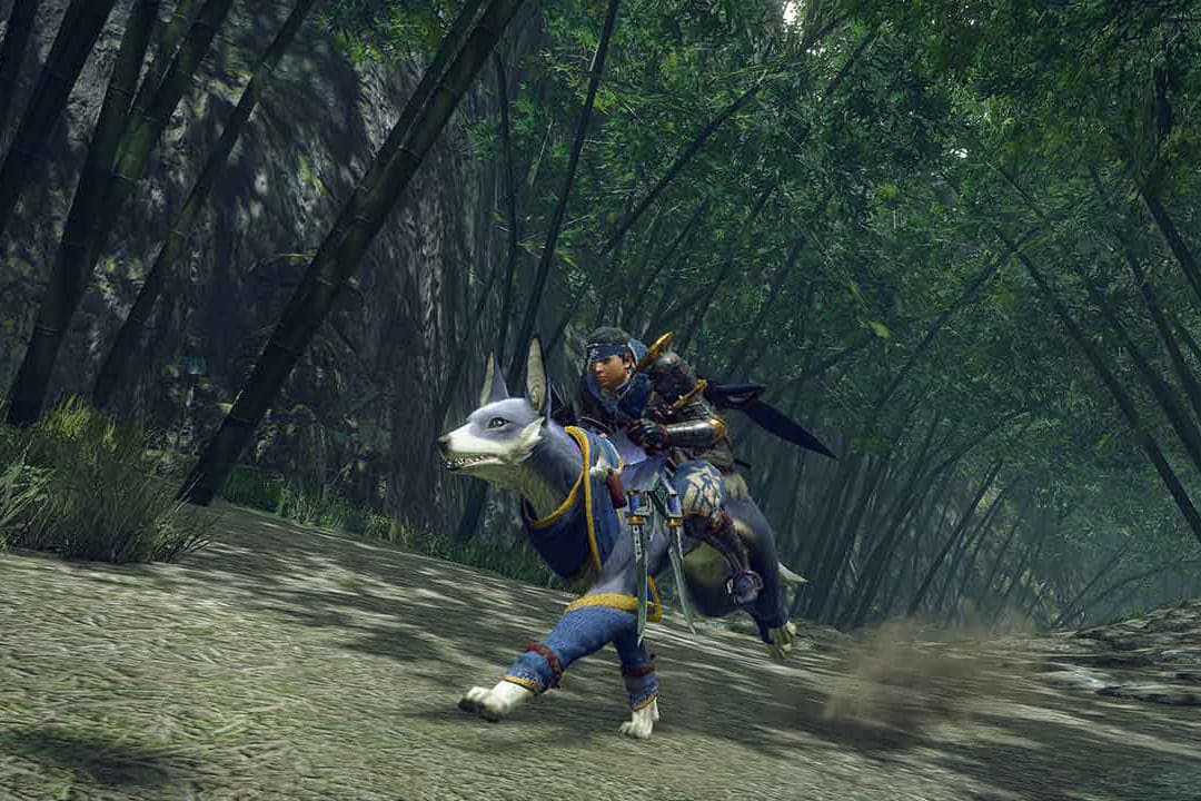 Nintendo Switch Monster Hunter Rise Game