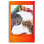 Fujifilm Instax Mini Instant Photo Film - Rainbow