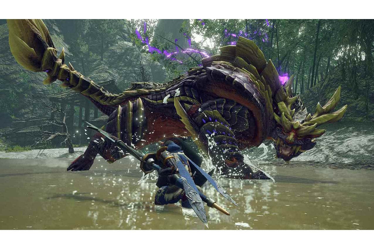 Nintendo Switch Monster Hunter Rise Game